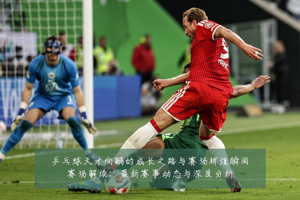 乒乓球天才向鹏的成长之路与赛场辉煌瞬间赛场解读：最新赛事动态与深度分析